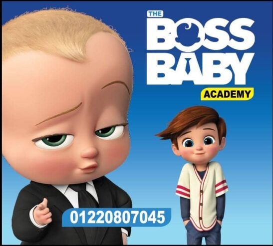 The Boss Baby Academy